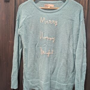 LOFT Blue Knit Sweater